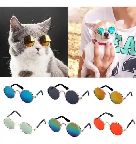 Gafas de sol para mascotas Perros y gato